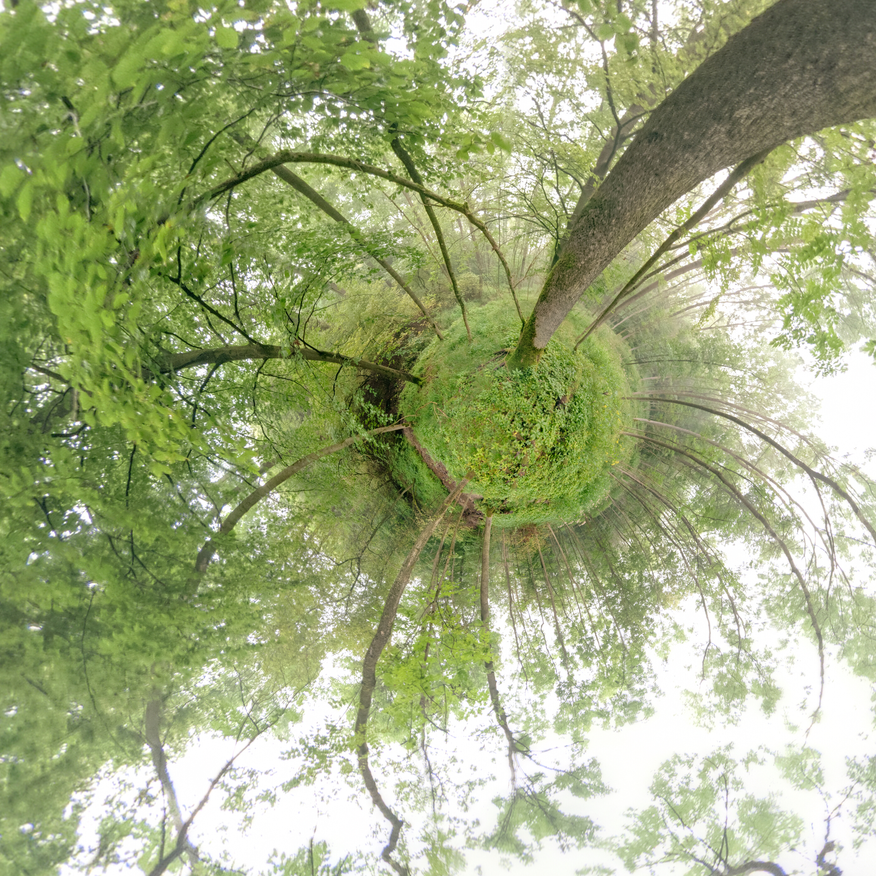 Panorama 166 - Little Planet